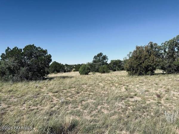 Seligman, AZ 86337,Lot 293sw N Flaming Star DR