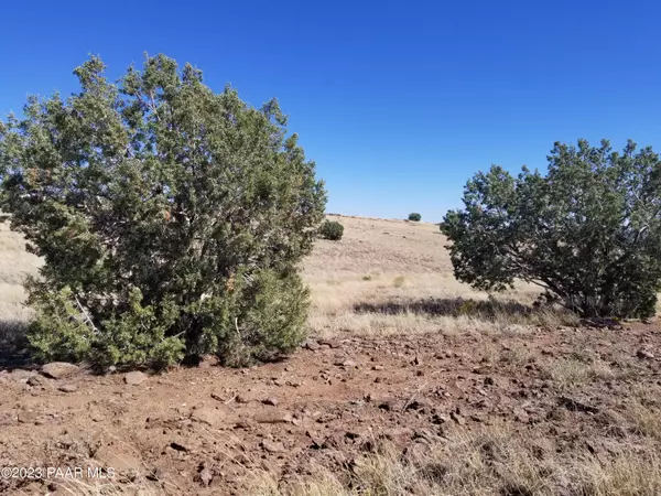 Ash Fork, AZ 86320,Lot 90 Off Volcano Trail