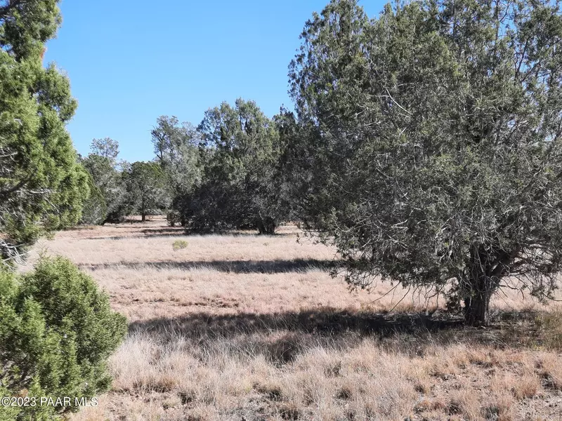 Lot 834 W Elk Meadows Rd, Seligman, AZ 86337