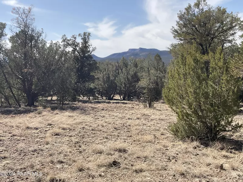 Lot 290 Hummingbird LN, Seligman, AZ 86337