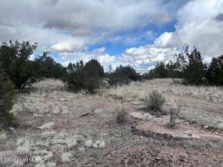 Seligman, AZ 86337,58329 N Bridge Canyon Pkwy