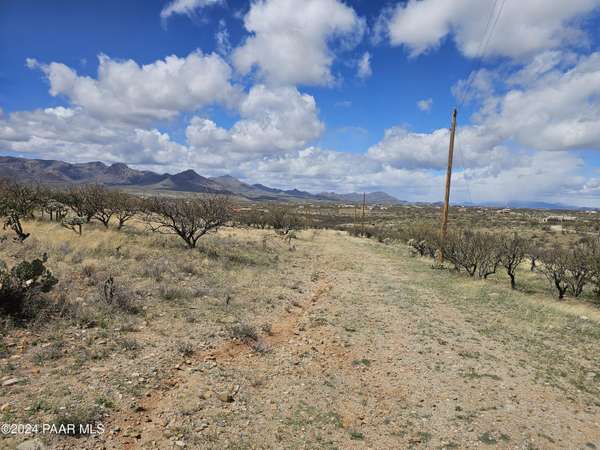 Rio Rico, AZ 85648,1686 Trampa CT