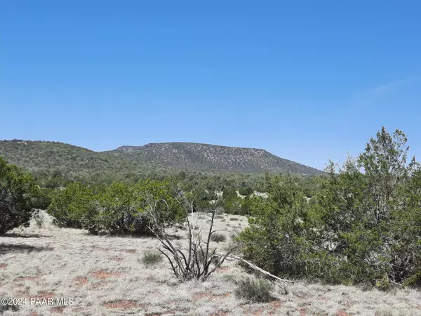 Seligman, AZ 86337,Lot 1538 N Conquistador Pkwy