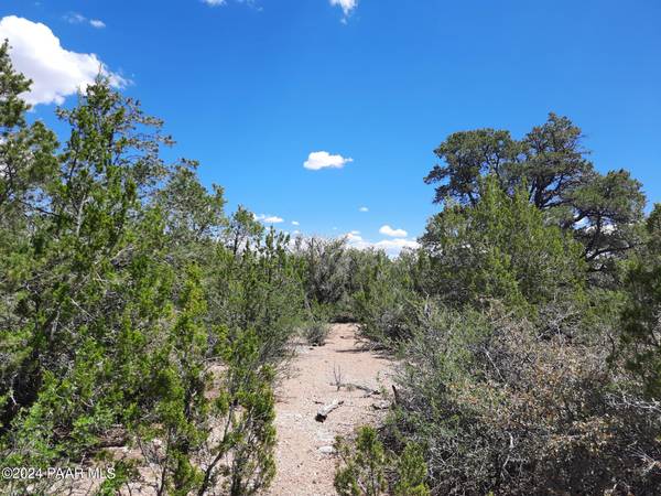 Seligman, AZ 86337,Lot 235 Forest Acres