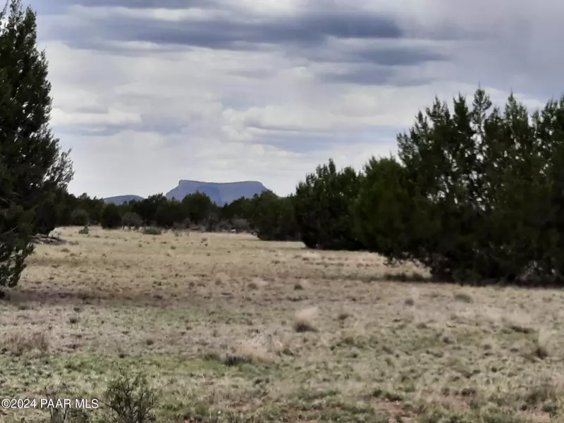 Lot 609 Younger Trail, Seligman, AZ 86337