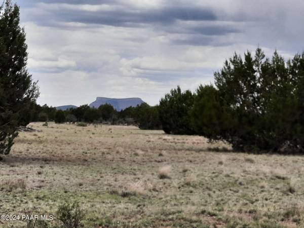 Seligman, AZ 86337,Lot 609 Younger Trail