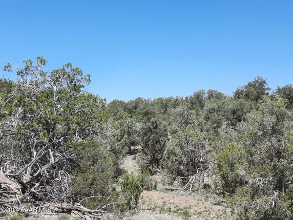 Seligman, AZ 86337,Lot 1404d Bad Dog Rd