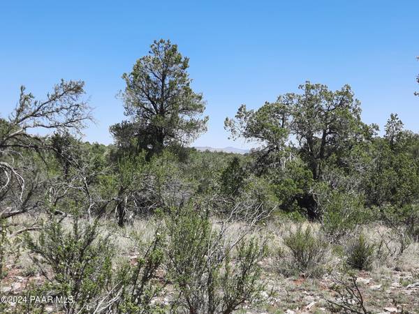 Seligman, AZ 86337,Lot 1404e N Bad Dog Rd