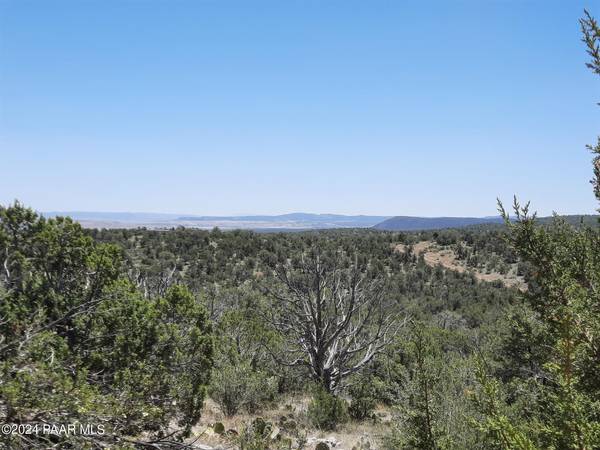 Seligman, AZ 86337,Lot 1404c N Lightning Ridge Rd