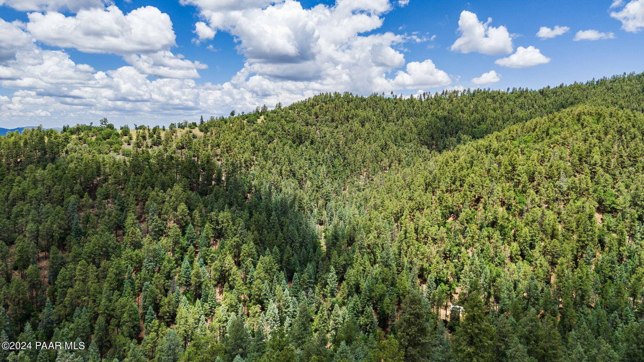 Prescott, AZ 86303,8116 S Millsite DR