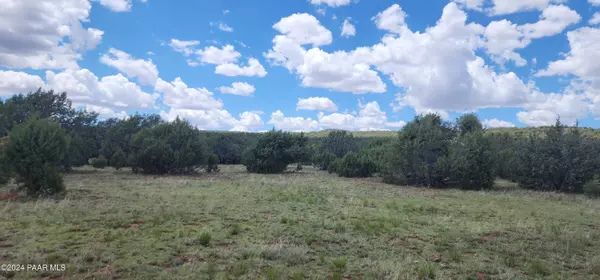 Seligman, AZ 86337,687-C Medicine Man Trail