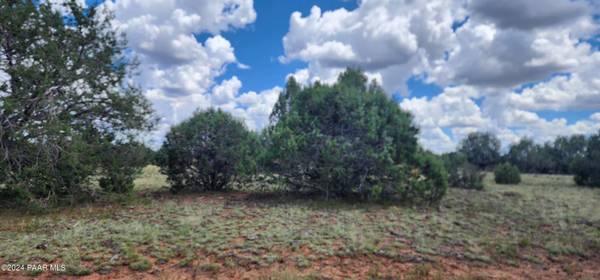 Seligman, AZ 86337,687-E Medicine Man Trail