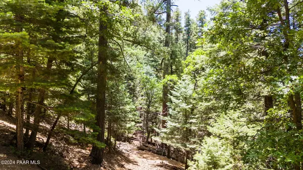 Prescott, AZ 86303,8130 S Millsite DR