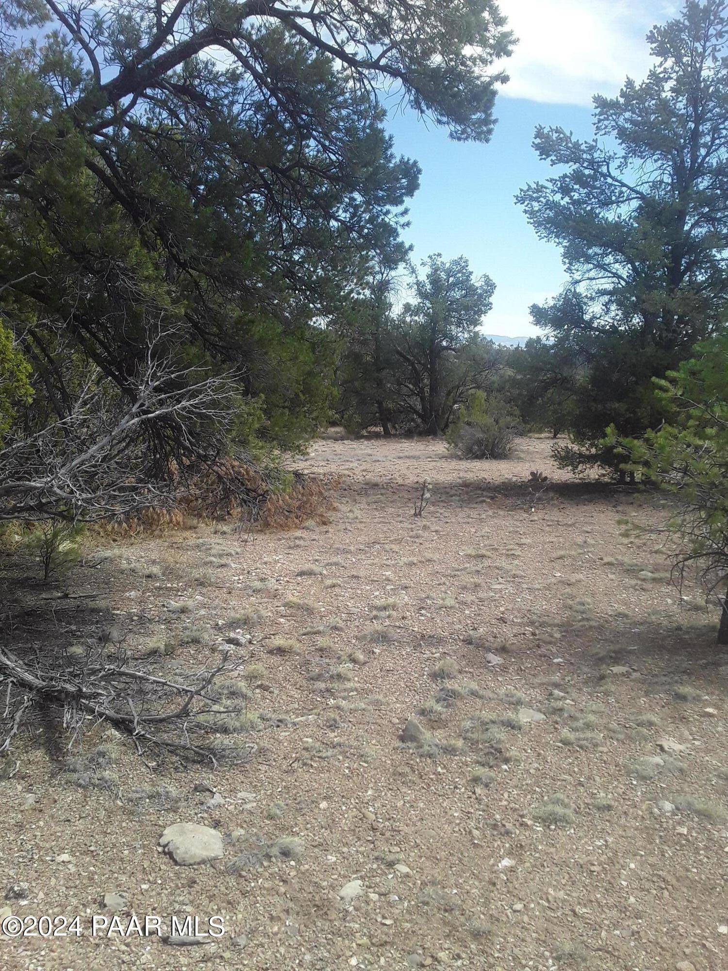 Seligman, AZ 86337,31690 W Dulce LN