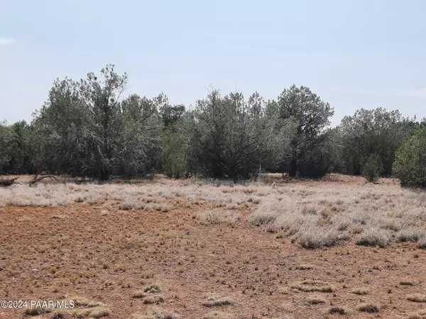 Seligman, AZ 86337,Lot 564d Caliente Winds Way