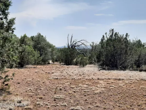 Seligman, AZ 86337,Lot 564d Caliente Winds Way