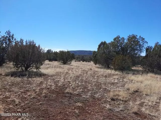 Seligman, AZ 86337,1651 W Forest Lane