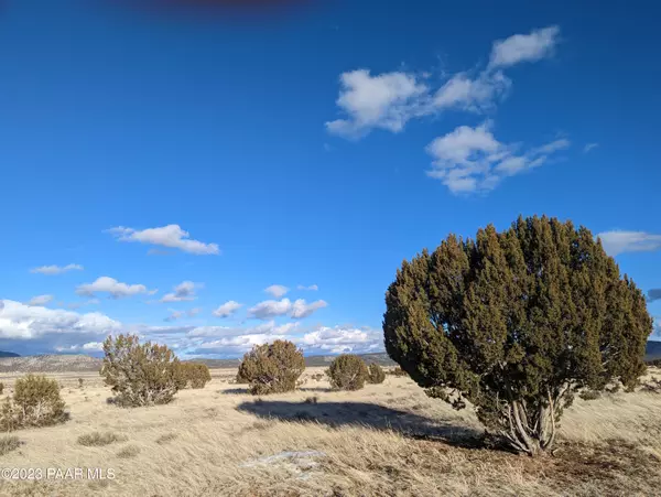 Seligman, AZ 86337,4 Lots Jolly RD