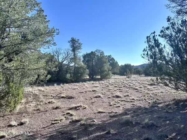 Seligman, AZ 86337,545c N Summer Rain RD