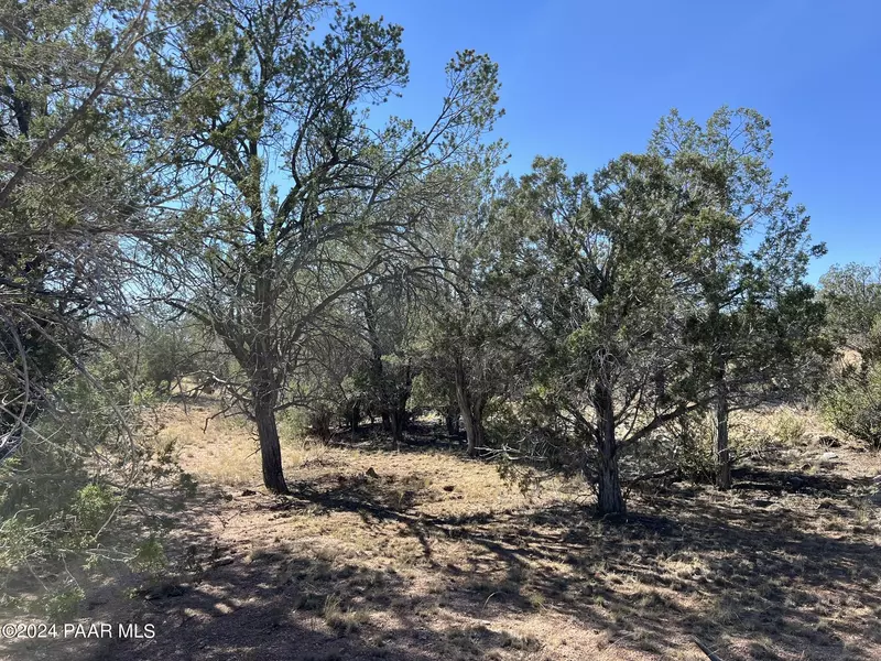 433 Peaceful Hill RD, Seligman, AZ 86337