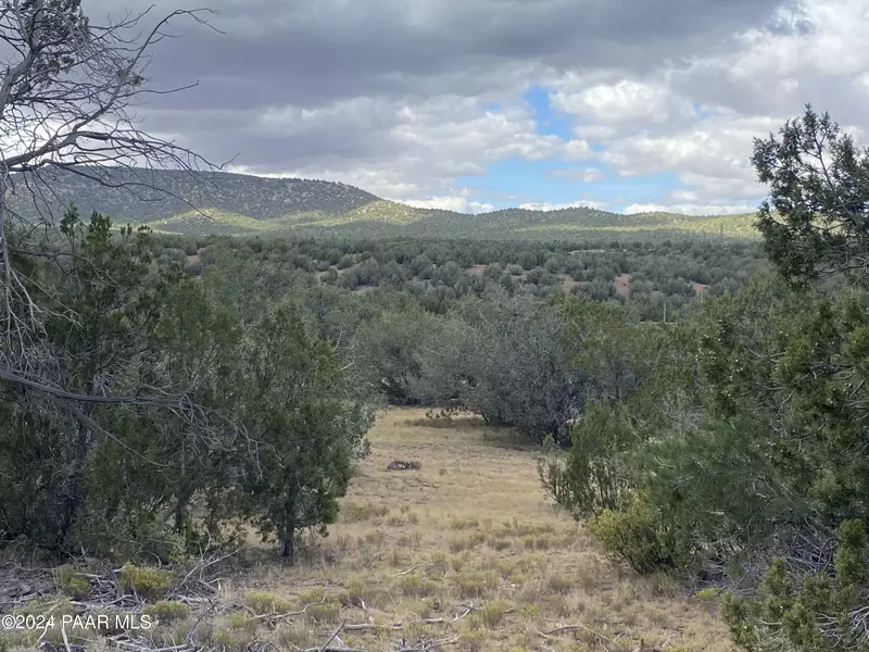 Lot 1426 Sierra Verde Ranch, Seligman, AZ 86337