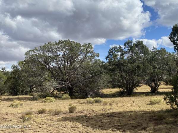 Seligman, AZ 86337,Lot 1426 Sierra Verde Ranch