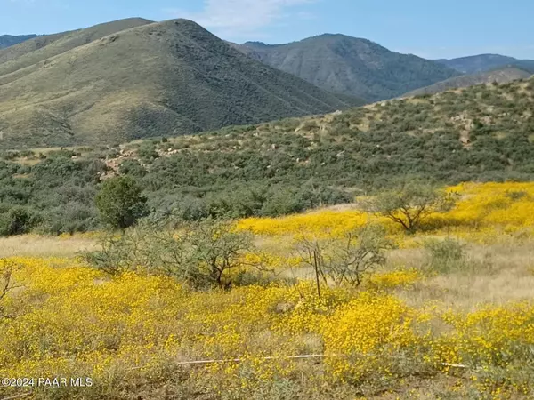 Dewey-humboldt, AZ 86329,27 Acres Vaca Bonita Rd And Miners Pick RD