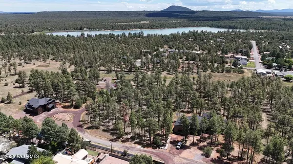 Pinetop-lakeside, AZ 85929,5363 Stilletto DR