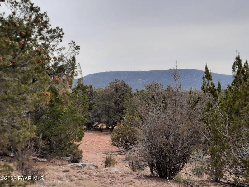 Lot 1222 Lazy Daze Way, Seligman, AZ 86337