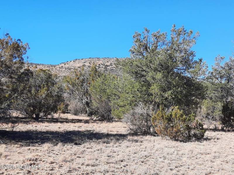 Lot 1496 Lion Canyon Dr, Seligman, AZ 86337