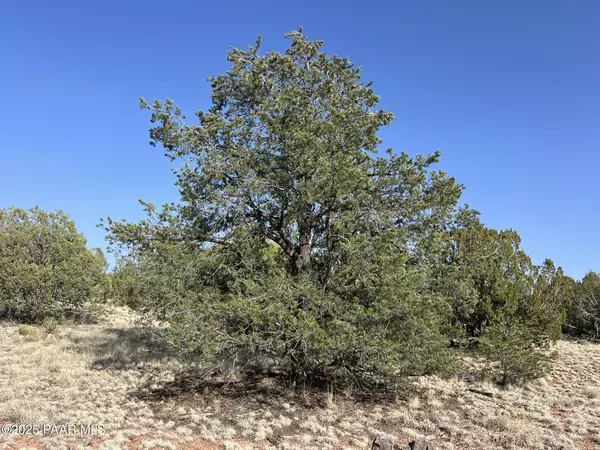 Seligman, AZ 86337,382 Gable WAY