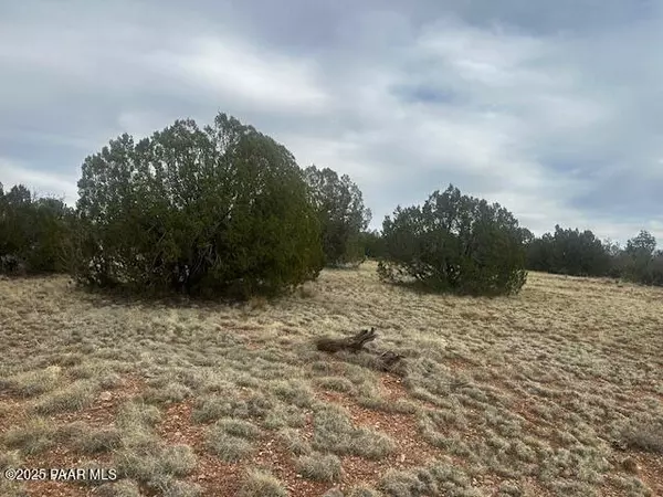 Seligman, AZ 86337,Lot 382nw Gable RD