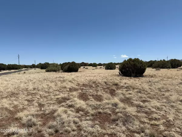 Show Low, AZ 85901,8481 Alpine PL