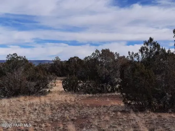 Seligman, AZ 86337,4719 W Calle Ines