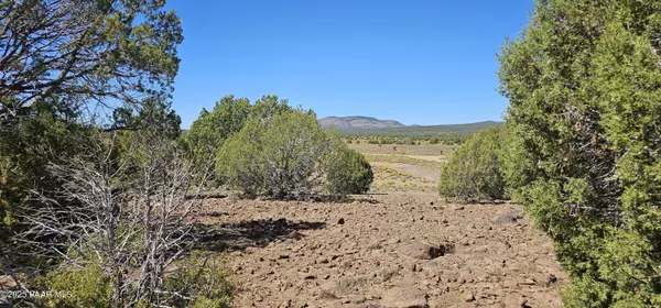 Williams, AZ 86046,Lot 578 Elvis Presley Blvd