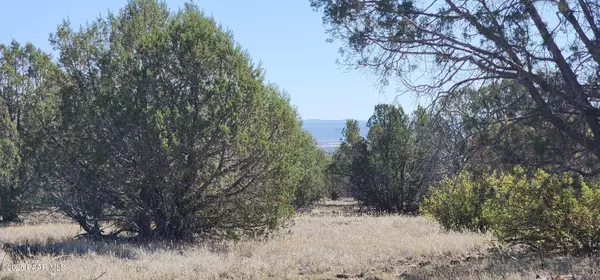 Lot 30 Off Rattlesnake, Ash Fork, AZ 86320