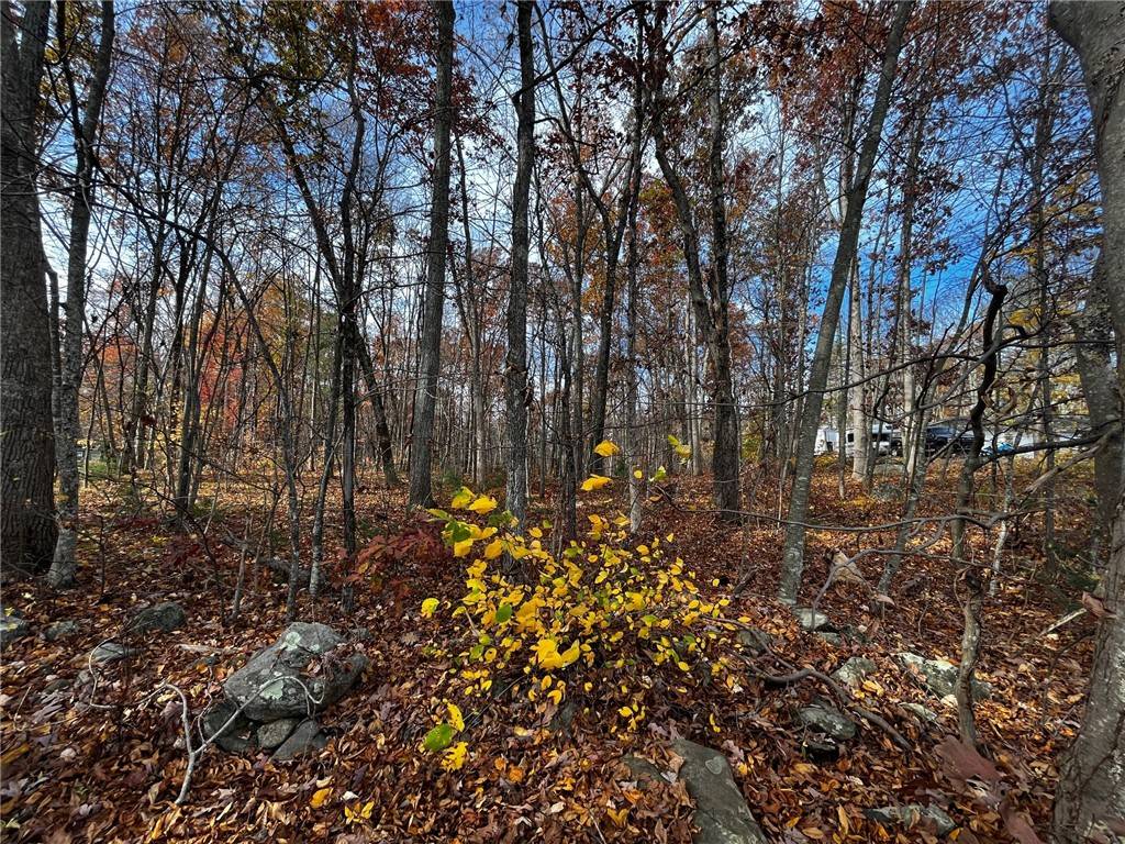 Burrillville, RI 02830,0 Joslin RD
