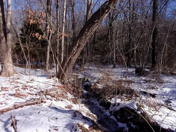 90 Chesnut Hill RD, Millville, MA 01529