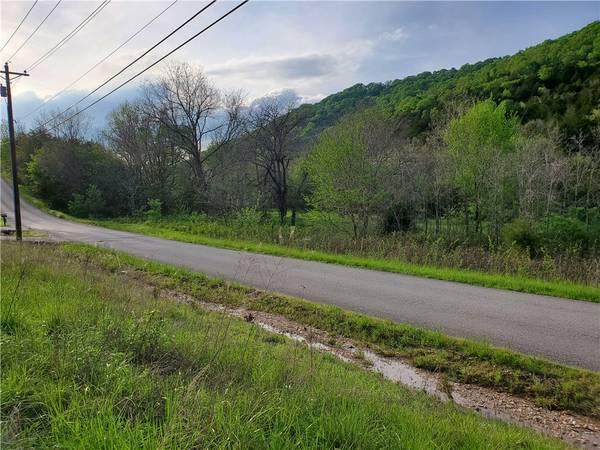 Holiday Island, AR 72631,Wild Turkey Dr