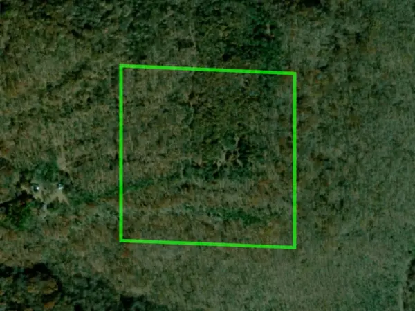 West Fork, AR 72774,Hwy 170