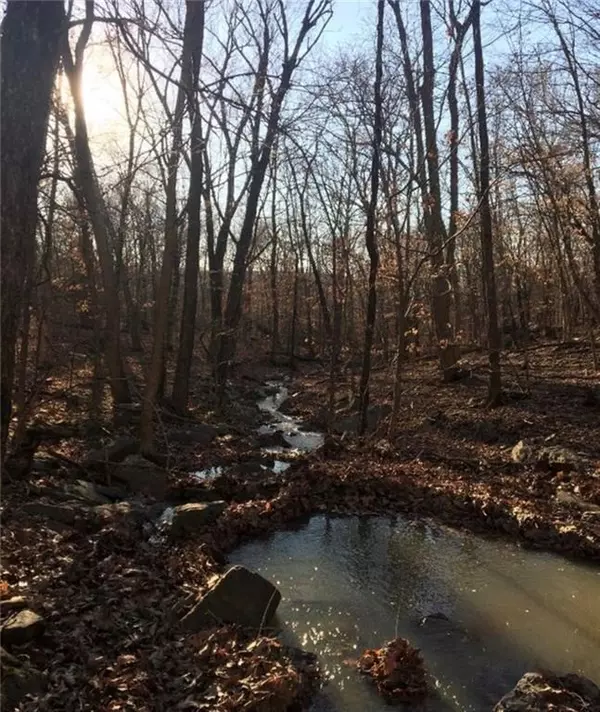 Prairie Grove, AR 72753,00 Tract C Silverwood Rd