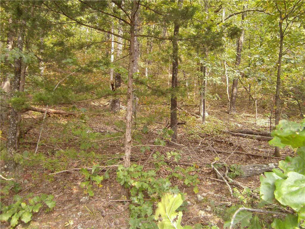 Madison 3605, Kingston, AR 72742