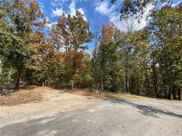 Bella Vista, AR 72715,Ness Ln