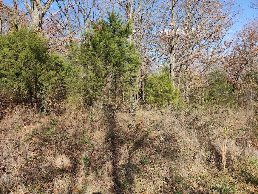 Bella Vista, AR 72715,Lot 16 Block 2 Dunkeld Dr