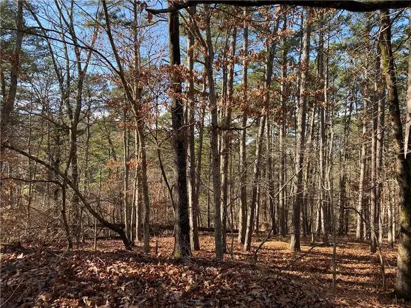 Bella Vista, AR 72714,Bladow Ln