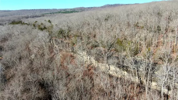 Winslow, AR 72959,Old Cabin Rd