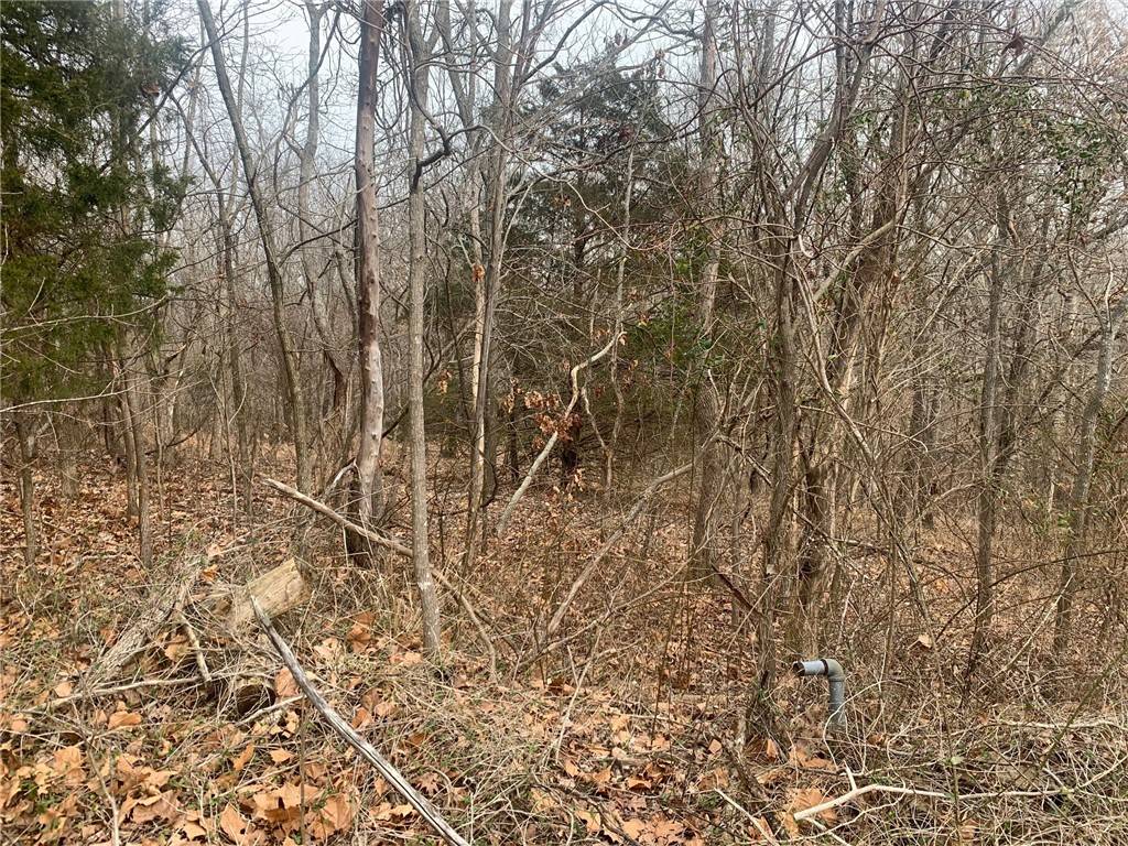 Bella Vista, AR 72715,Lauder Cir