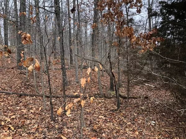 Bella Vista, AR 72714,Skipton Ln