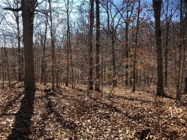 Bella Vista, AR 72714,Hornsea Ln