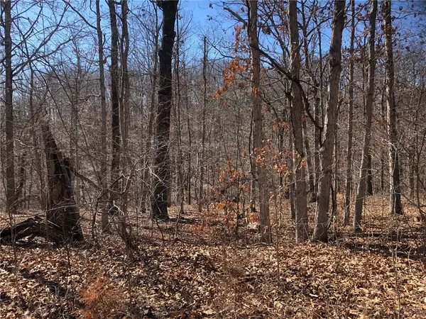 Hornsea Ln, Bella Vista, AR 72714